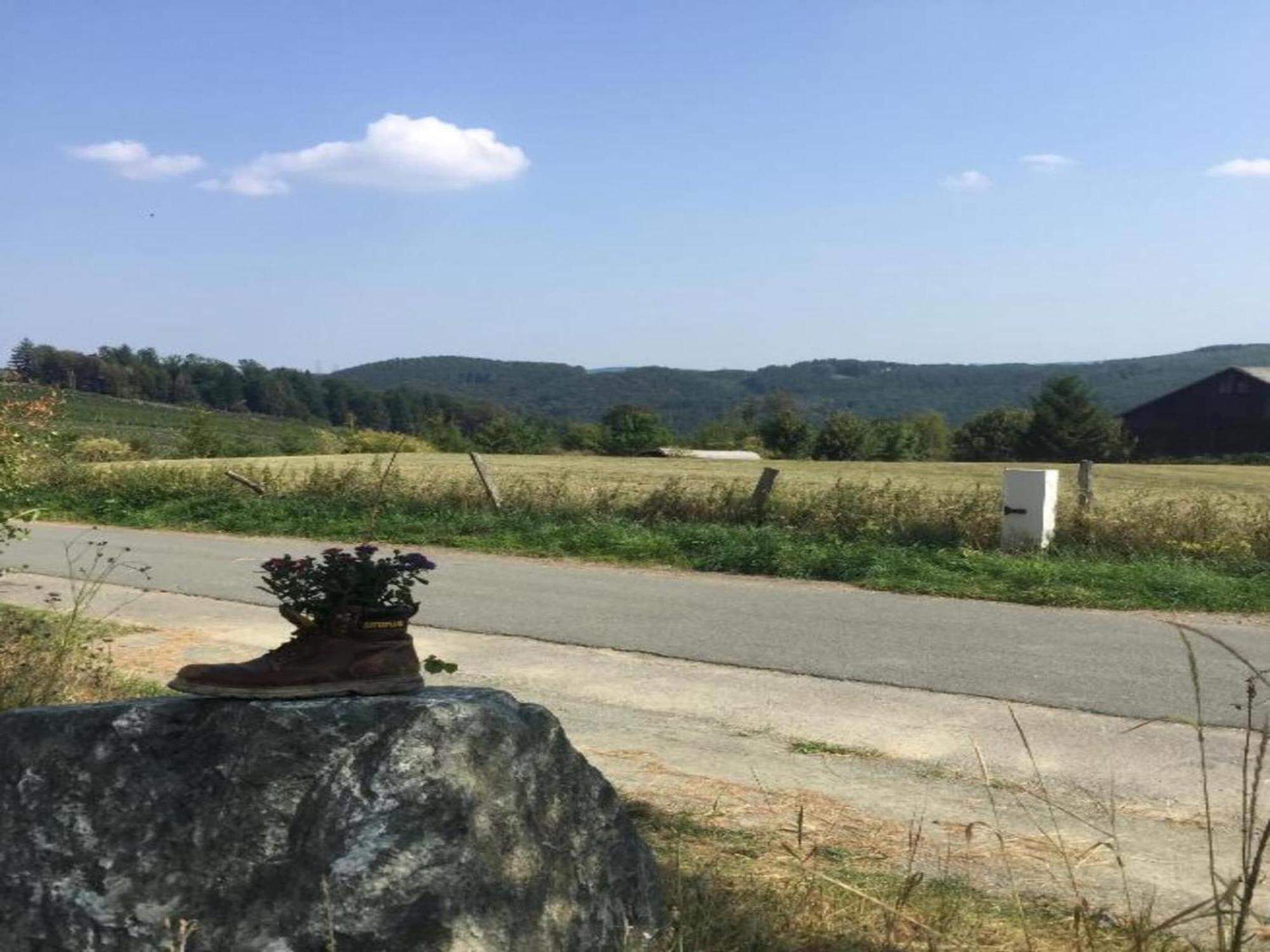 Holiday Home In Ramsbeck With Garden 베슈트비크 외부 사진